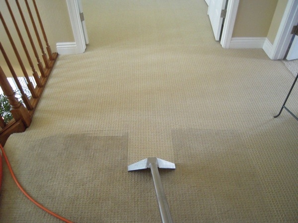 Фото - Чистка ковролина: способы и основные правила. Как чистить ковролин в домашних условиях?